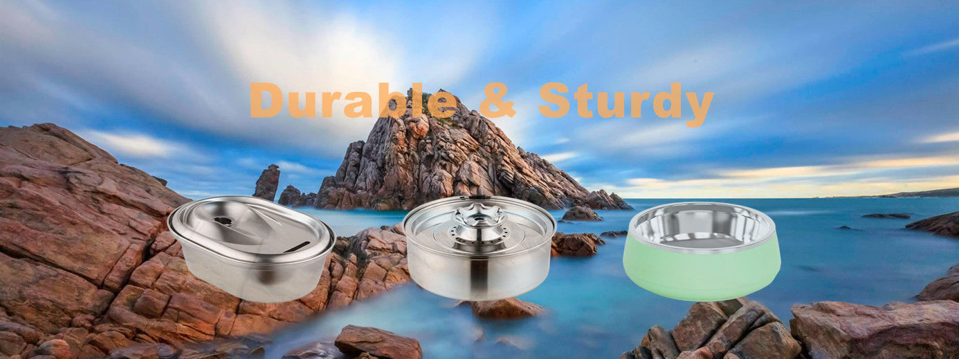 China best Pet Supplies Accessories on sales