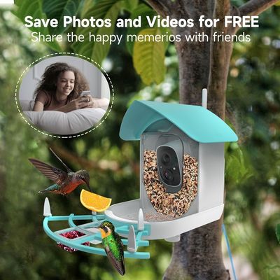 Wireless High Speed Metal Pet Monitoring Cameras Voice Control Waterproof HD Resolution