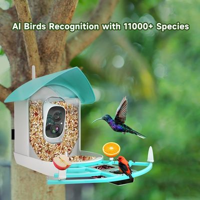Wireless High Speed Metal Pet Monitoring Cameras Voice Control Waterproof HD Resolution