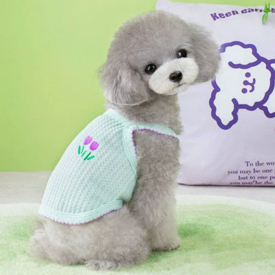 Breathable Waterproof Soft Eco-Certified Pressure-Relief Cat Clothes Holographic