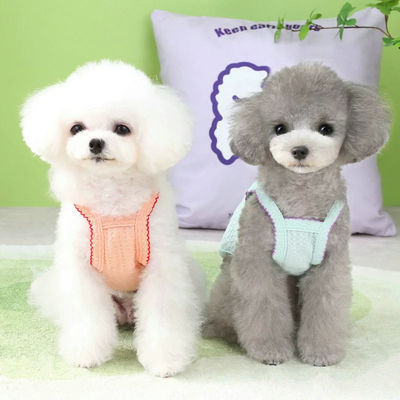 Breathable Waterproof Soft Eco-Certified Pressure-Relief Cat Clothes Holographic