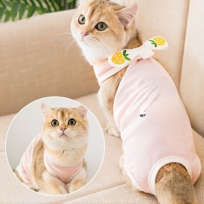 Summer Wear Adjustable Waistband Waterproof Coat Dog Clothes Soft Lightweight