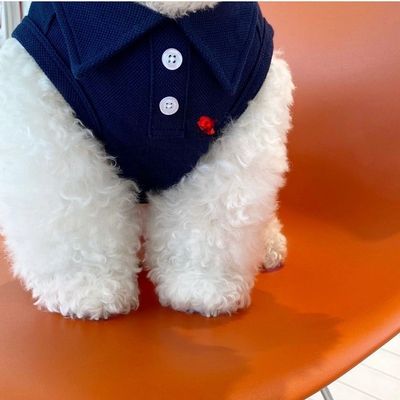 Custom Sizes Quick Dry Pet Clothing Breathable Cat Wearing Clothes Anti Allergy