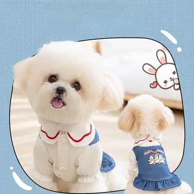UV Protection Soft Holographic Dog Clothes Antibacterial Fabric Adjustable Size