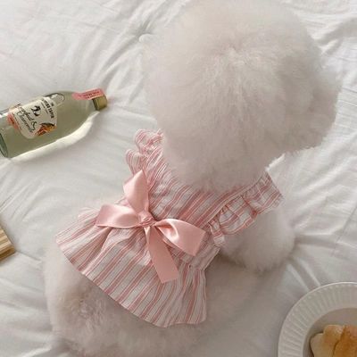 OEM Summer Microfiber Dog Wearing Coat Waterproof Adjustable Holographic
