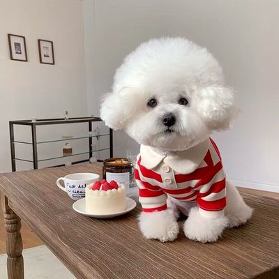 Soft Summer Pet T Shirt Dog Cat Wear Apparel Breathable Waterproof Anti Spill