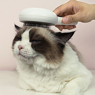 Detachable Cordless Pet Cleaning Tools Cat Deshedding Brush Battery Powered Waterproof