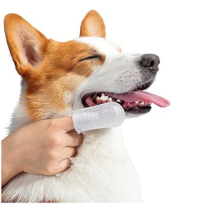 Pet Friendly Antibacterial Cat Dog Ear Cleaning Tool Latex Free FDA Approved