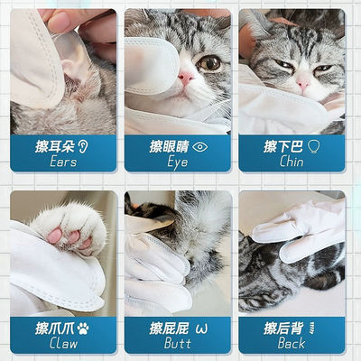 One Hand Operation Pet Cleaning Tools Anti Bite Pet Cleaning Glove Travel Size