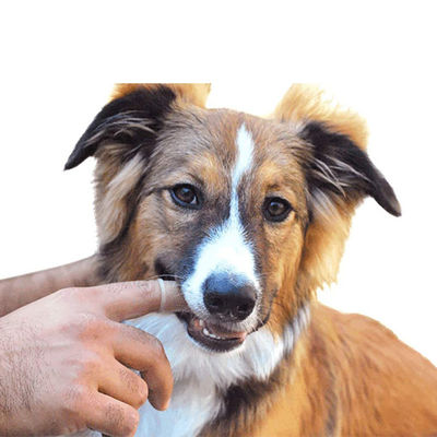 Biodegradable Fiber Pet Cleaning Tools Deep Cleaning Deodorizing Silicone Finger Brush