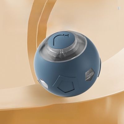 Eco Friendly Pet Training Ball Waterproof Water Resistant Multi Sport Training