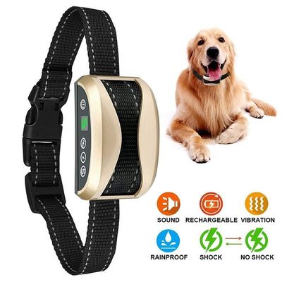 Eco Friendly Adjustable Dog Agility Shock Collar Hypoallergenic GPS Tracking