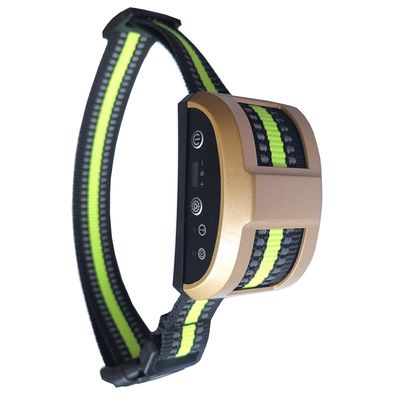 Water Resistant Pet Training Shock Collar Rechargeable for Dog and cat Agility
