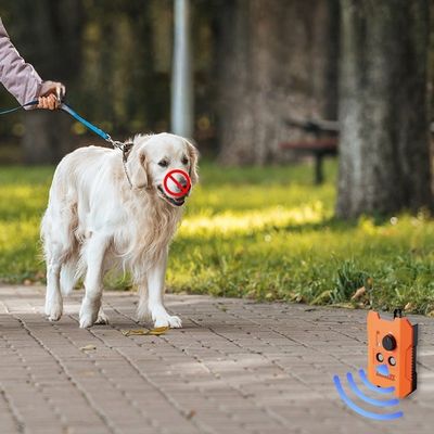 Voice Control Dog Training Shock Collar Rechargeable Electric Shock Dog Collar
