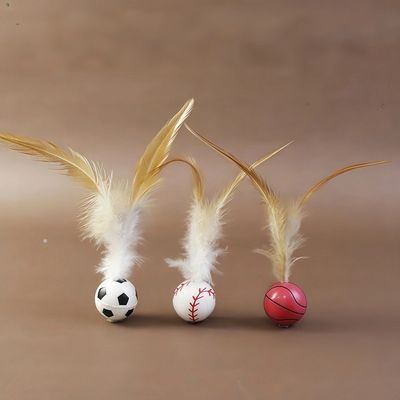 Funny Waterproof Pet Training Products Hypoallergenic Cat Training Toys