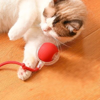 Voice Control Pet Training Toys GPS Tracking Long Battery Life Bluetooth Remote Control