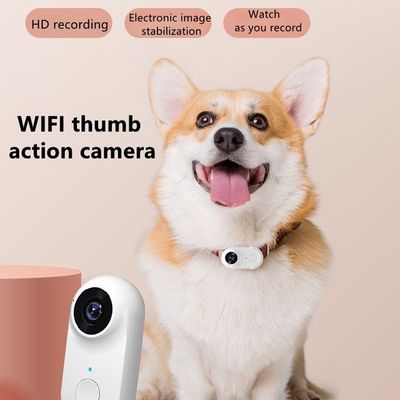 Metal Wireless Collar Pet Camera Free App Night Vision 1080p Full HD