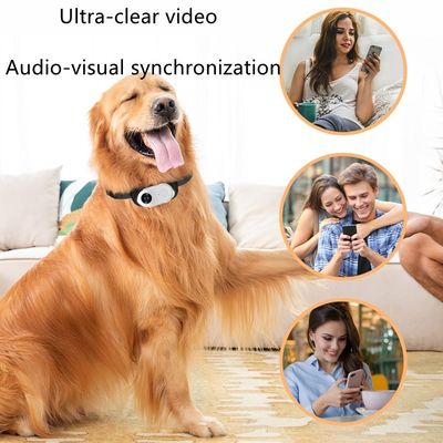 Metal Wireless Collar Pet Camera Free App Night Vision 1080p Full HD