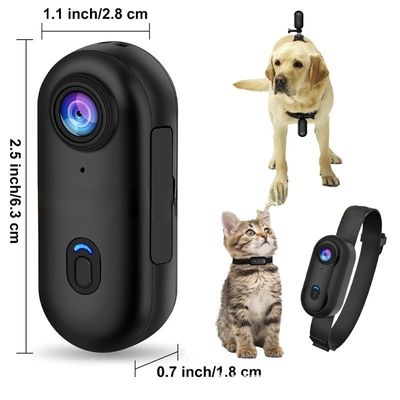 Small Night Vision Pet Wearable Camera Collar HD 1080P Two Way Audio Voice Control