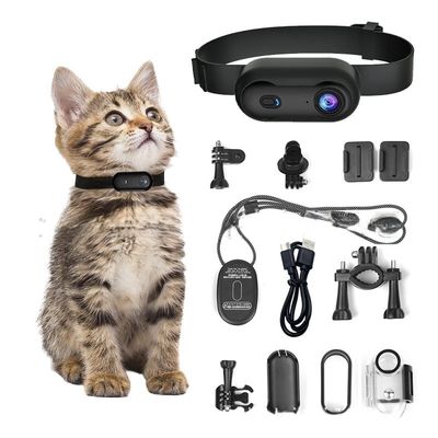 Small Night Vision Pet Wearable Camera Collar HD 1080P Two Way Audio Voice Control