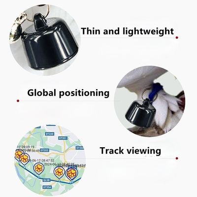 4G LTE Solar Powered Pet Smart Tracker Anti Loss Breakaway Design RFID No Monthly Fee