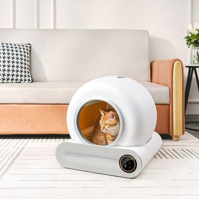 Custom Color Pet Litter Boxes Quiet Operation WiFi Enabled Auto Cat Box Cleaner