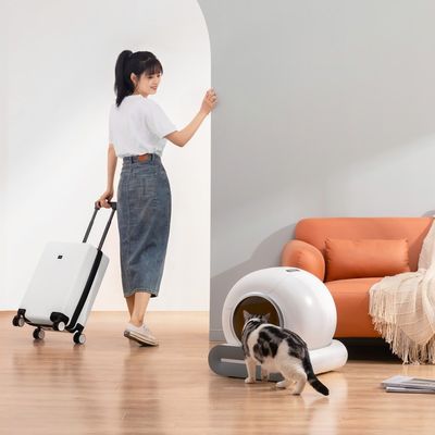 Custom Color Pet Litter Boxes Quiet Operation WiFi Enabled Auto Cat Box Cleaner