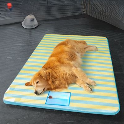 TPU Liner Pet Smart Beds Chew Resistant Cord Cat Sleep Mat OEM Logo
