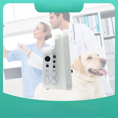 Animal Specific Design Pet Pulse Oximeter Lightweight Long Range Connectivity
