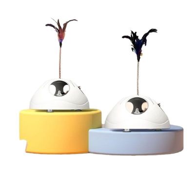 Dog Sports Competition Obedience School Child-Safe Agility Training