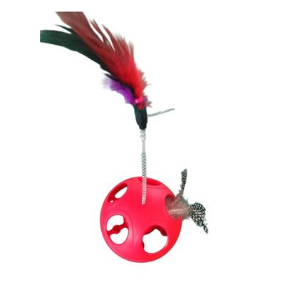 Dog Sports Competition Obedience School Child-Safe Agility Training