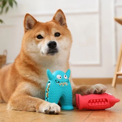 Eco-Friendly Dog Sports Competition Agility Training Pet Anxiety Relief