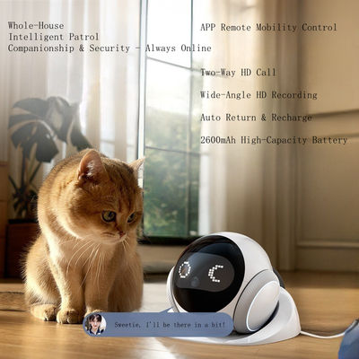 Virtual Pet Trainer AI Robot Durable Behavioral Analysis AI-Powered App Control