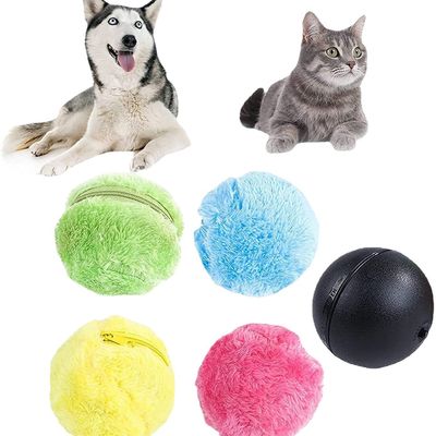 Interactive Agility Training Eco-Friendly Voice Control Reward System