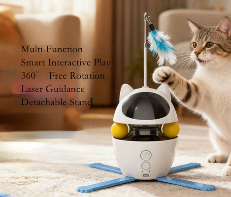 Reward System Agility Training Training Guide Durable Subscription Box