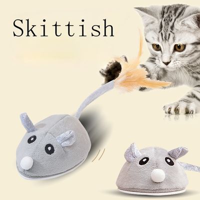 Force-Free Training GPS Tracking Agility Training Interactive