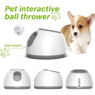 Subscription Box Agility Training Dog Training Academy Dog Sports Competition