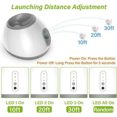 Subscription Box Agility Training Dog Training Academy Dog Sports Competition