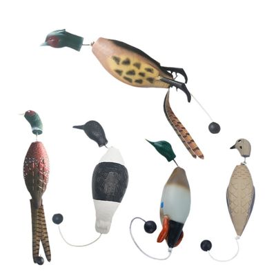 Pet Training Products Dog Training Academy Agility Training Dog Sports Competition Obedience School