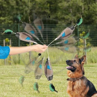 Pet Training Products Dog Training Academy Agility Training Dog Sports Competition Obedience School