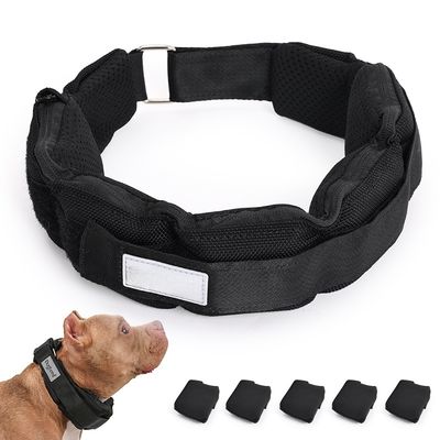 Customizable Feedback Dog Sports Competition Agility Training Dog Park Ready Pet Training Products