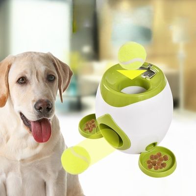 Ultrasonic Agility Training Reward System Dog Daycare Dog Park
