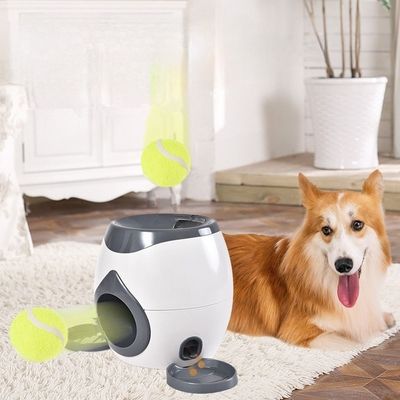 Ultrasonic Agility Training Reward System Dog Daycare Dog Park