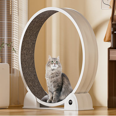 Pet Training Products Dog Training Academy Agility Training Pet Anxiety Relief Child-Safe