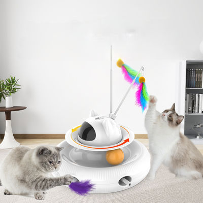 Dog Sports Competition Training Guide GPS Tracking Agility Training