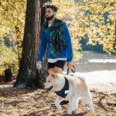 Vintage Breathable Fabric Dog Clothes Button-Free Design Antibacterial Fabric