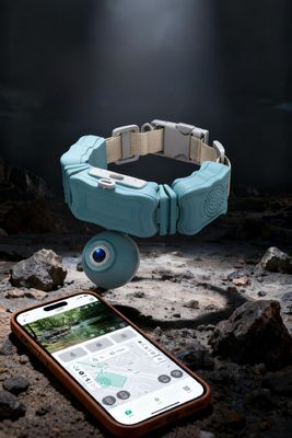 Training Collar Activity Tracking GPS Tracker Geofencing Alerts Waterproof