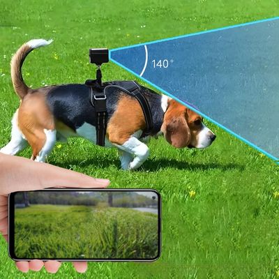 No Monthly Fee GPS Tracker Long Battery Life Global Coverage Replacement Collar