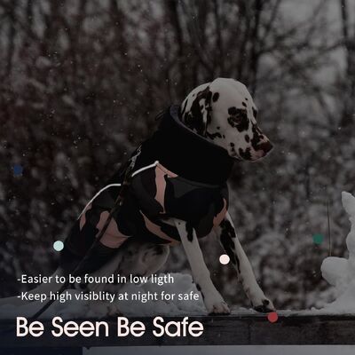 Quick-Dry Technology Anti-Allergy Hunting Dog Clothing  Customizable Lightweight