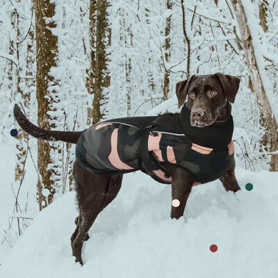 Quick-Dry Technology Anti-Allergy Hunting Dog Clothing  Customizable Lightweight